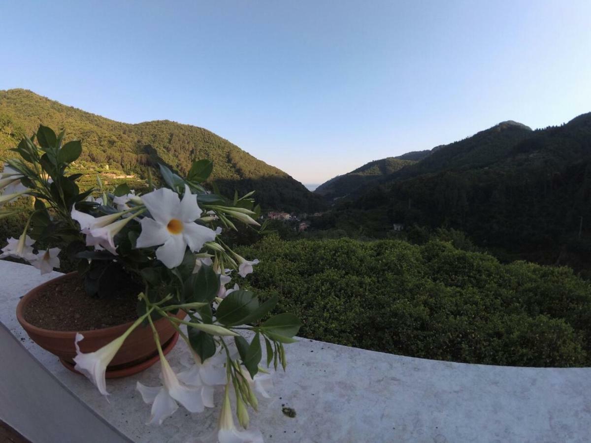 B&B Bouganville Tramonti Ngoại thất bức ảnh